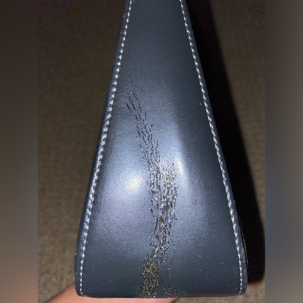 Long Champ Shoulder Bag (Read Caption) - Picture 11 of 12